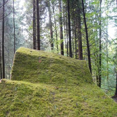 Ndmk 21 Kunstweg Ruben Pfanner Jorg Oswald Dsc06793 B