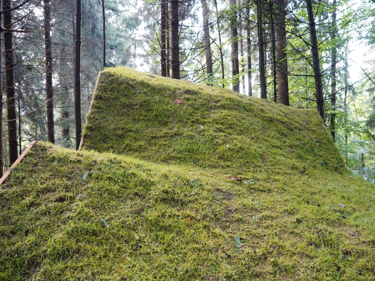 Bindestrich 21 Weg Grenzerhiasle 2 b